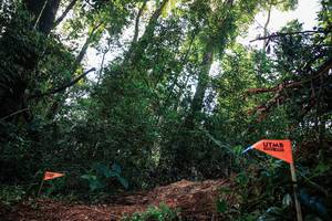 BIB: 
                            <button type="button" onclick="openModal(22629586)" class="btn btn-primary btn-sm float-right btn-popup" data-toggle="modal" data-target=".modal-high-quality">
                        <i class="fas fa-shopping-cart"></i> Add to Cart
                    </button>
                                            <button type="button" onclick="isThisMe(22629586, true)" class="btn btn-success btn-sm float-right btn-popup btn-isme hidden" data-toggle="tooltip" data-placement="bottom" title="นี่คือรูปของคุณใช่ไหม คลิกที่นี่เพื่อเอาเข้าอัลบั้ม">
                        <i class="fas fa-plus"></i> Add to album
                    </button>
                    <button type="button" onclick="isThisMe(22629586, false)" class="btn btn-warning btn-sm float-right btn-popup btn-isnotme hidden">
                        <i class="fas fa-ban"></i> Remove from album
                    </button>